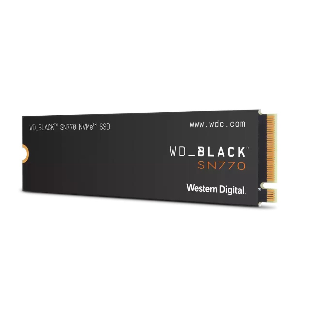 WDS250G3X0E 2