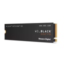 WDS250G3X0E 2