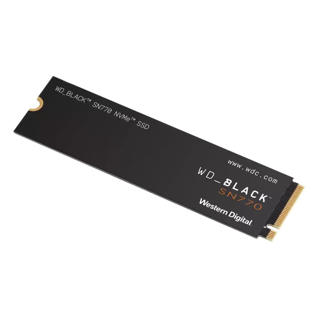 WDS250G3X0E 3