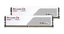 F5-6000J3040F16GX2-RS5W 1