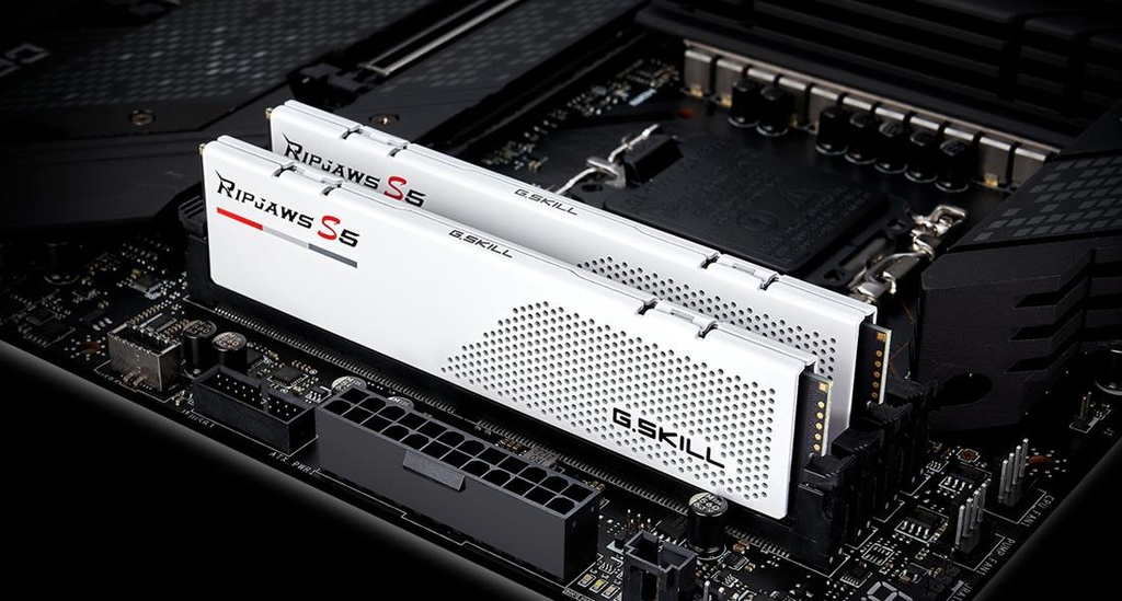 F5-6000J3040F16GX2-RS5W 5