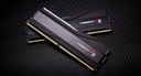 F5-6000J3636F16GX2-TZ5RK 5