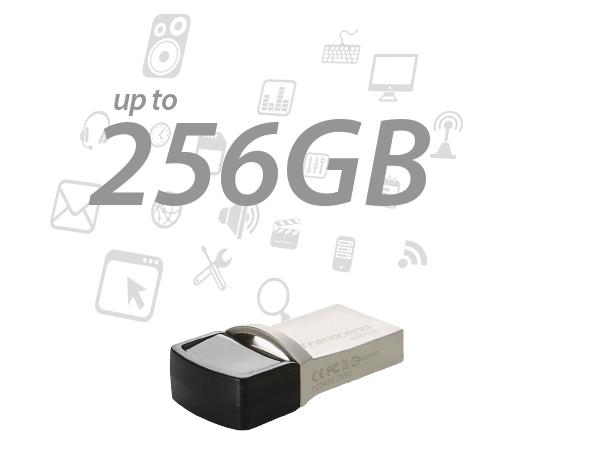 TS256GJF890S 6