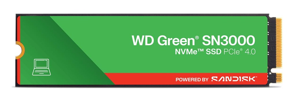 WDS100T4G1E-00CPS0 2