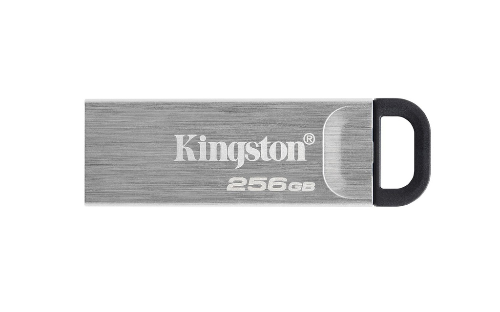 DTKN/256GB 1