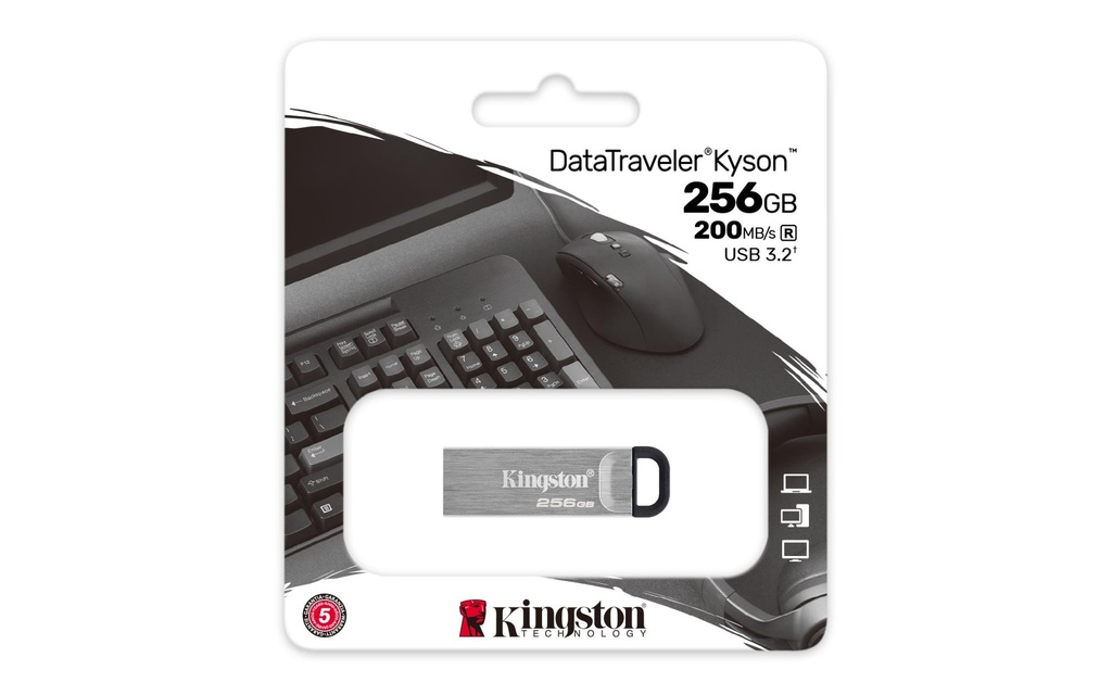 DTKN/256GB 4