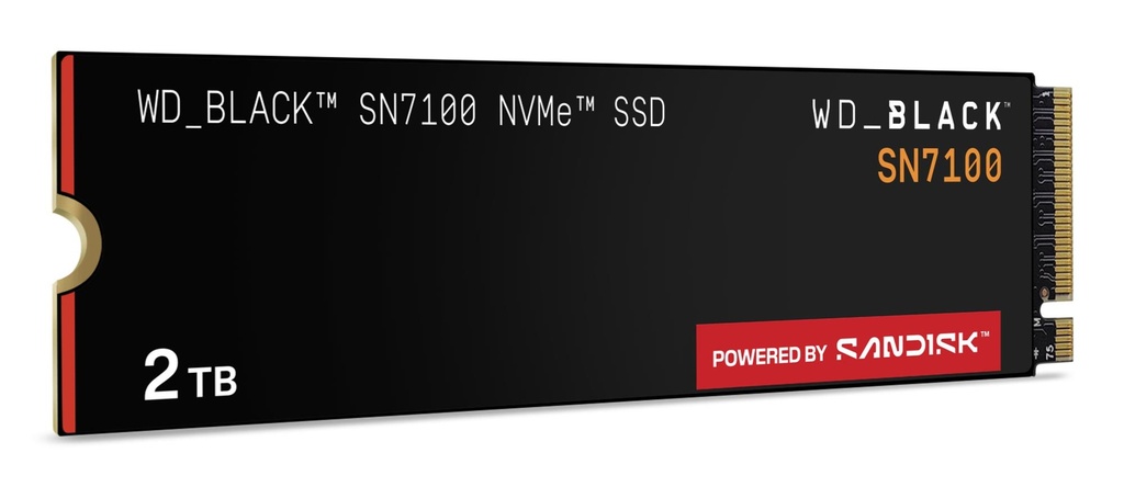 WDS200T4X0E 4