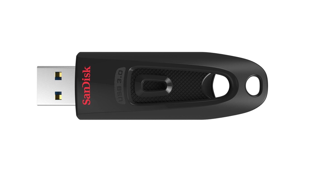 SDCZ48-256G-U46 4