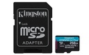 SDCG4/256GB 1