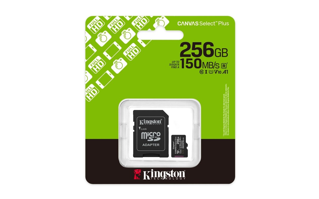 SDCS3/256GB 5