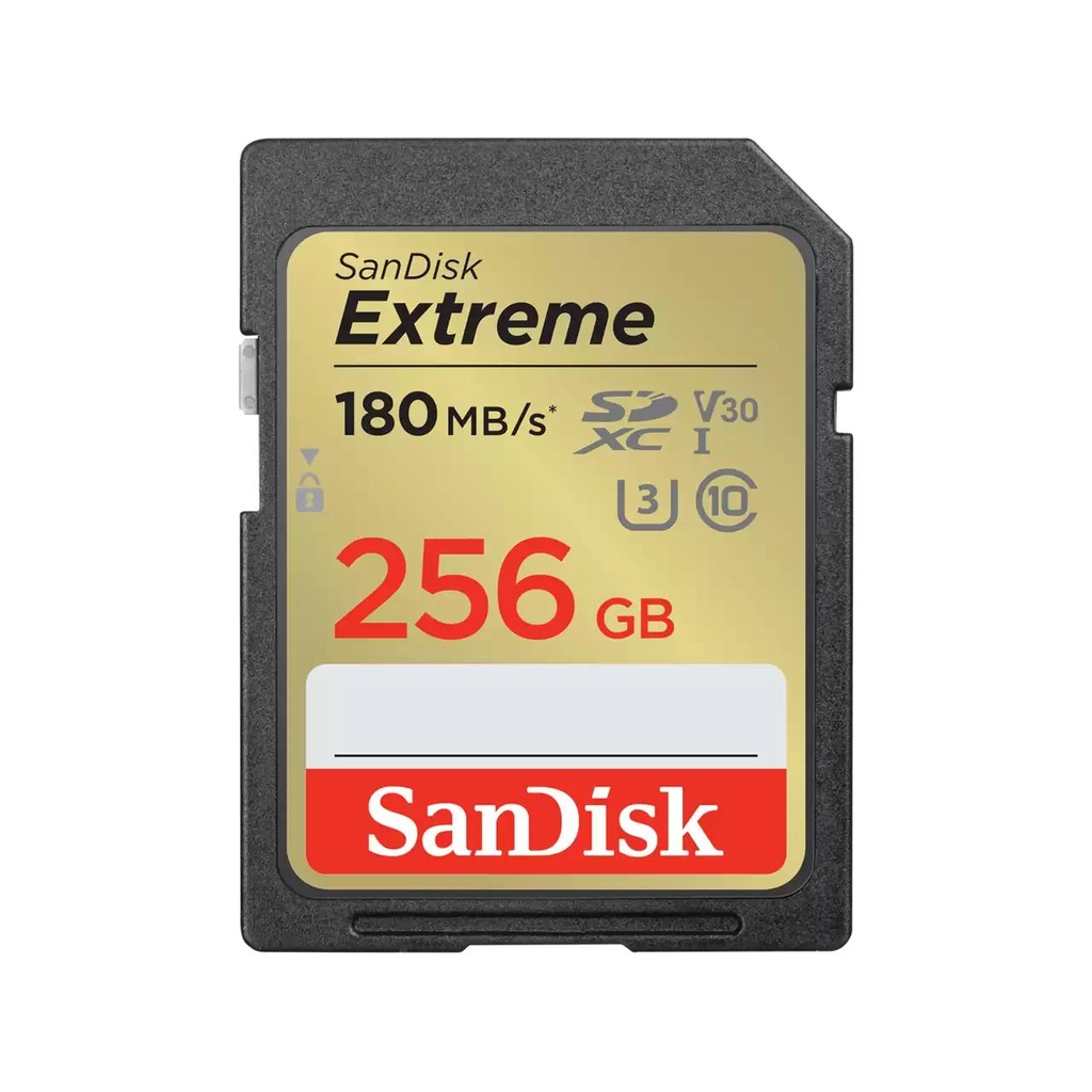 SDSDXVV-256G-GNCIN 1