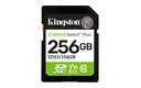 SDS3/256GB 1