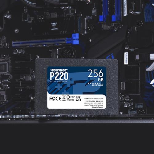 P220S256G25 4