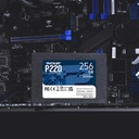 P220S256G25 4