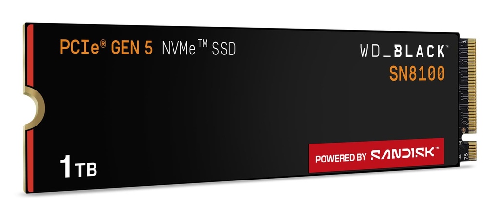 WDS100T1X0M 5