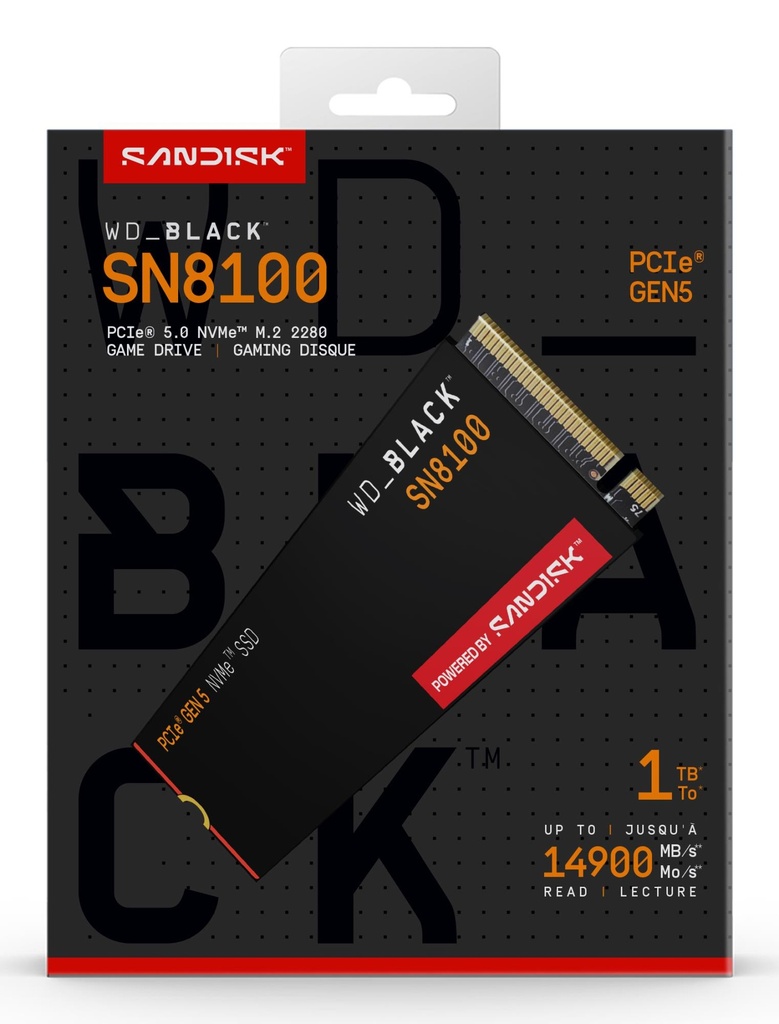 WDS100T1X0M 6