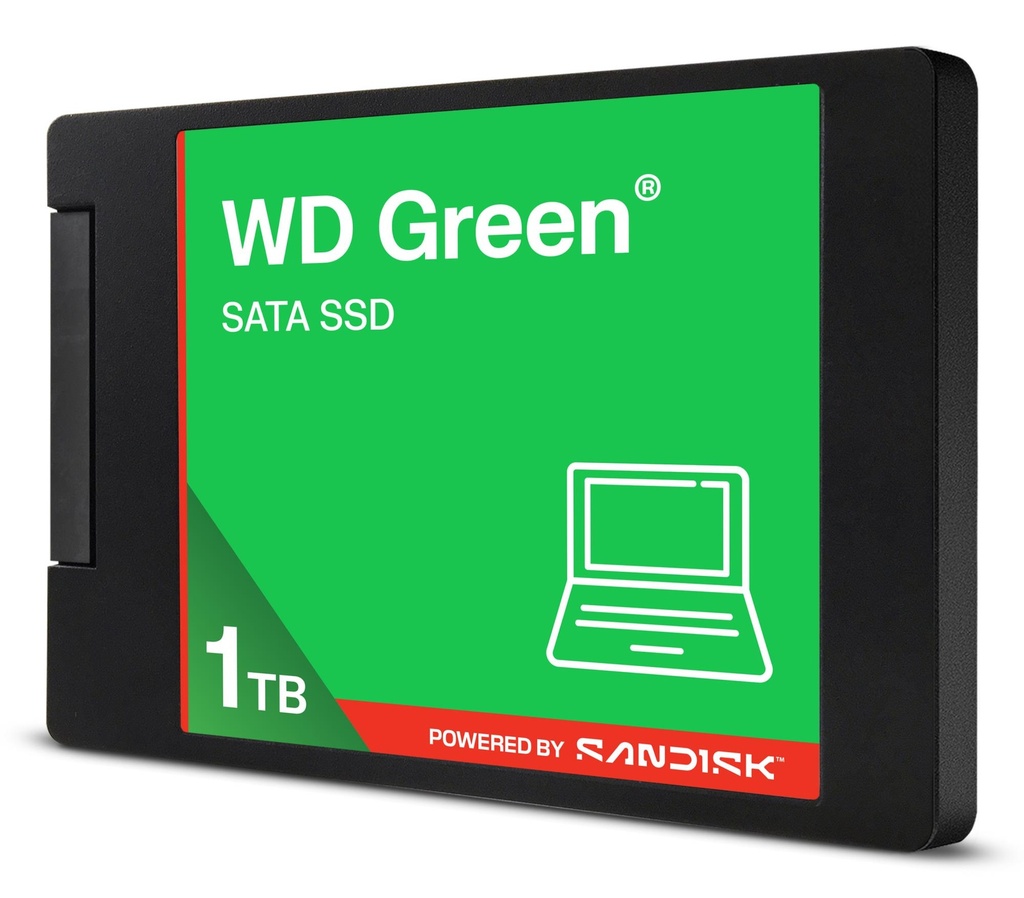 WDS100T5G0A 2