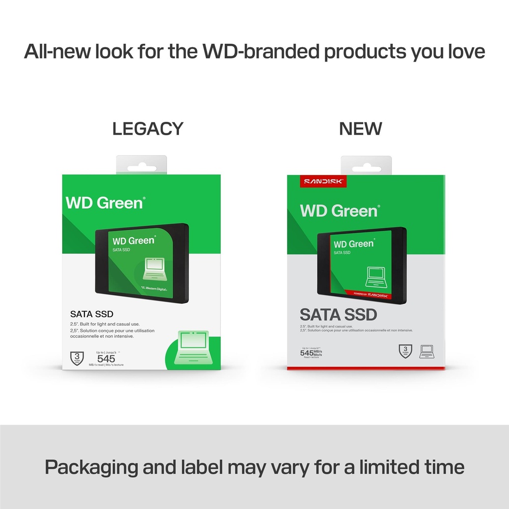 WDS100T5G0A 5
