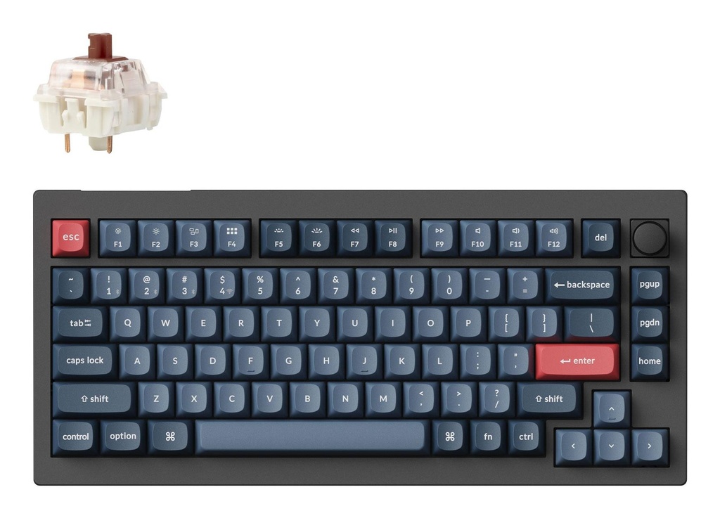V1M-D3 1