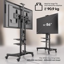 TS1881E-B 4