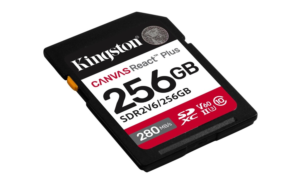 SDR2V6/256GB 2