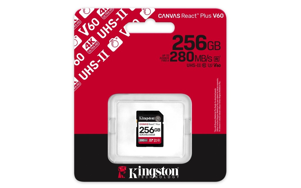 SDR2V6/256GB 3