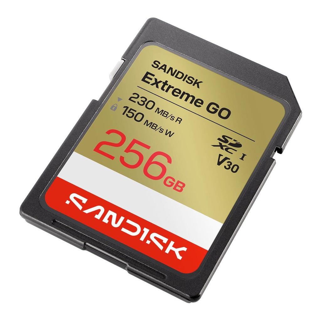SDSDXGN-256G-GNCIN 2