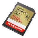 SDSDXGN-256G-GNCIN 2