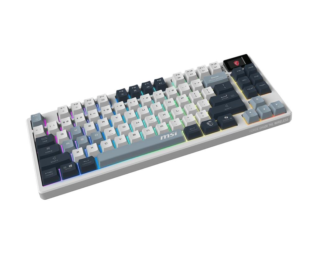 FORGE GK600 TKL W SKY US 2