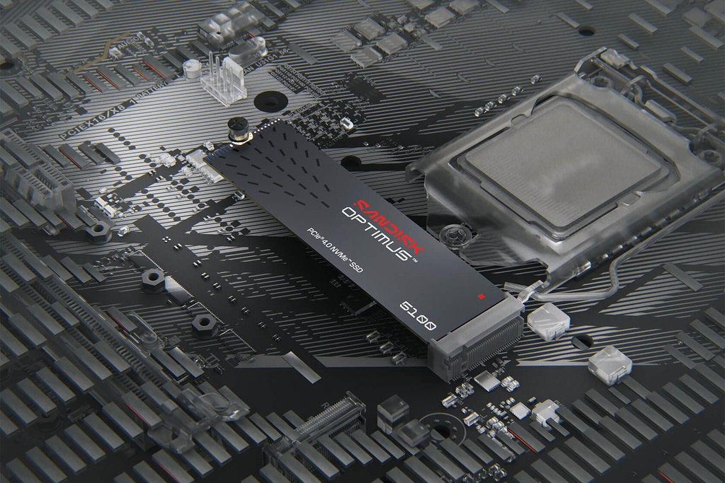 SDSP51100TAN-000E0 4