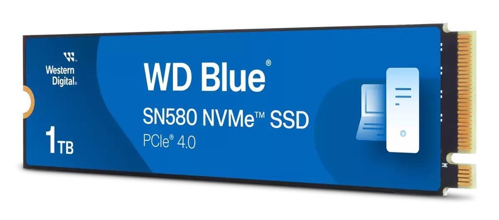 WDS100T3B1E 2