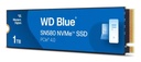 WDS100T3B1E 2
