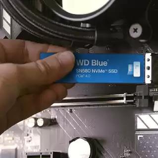 WDS100T3B1E 3
