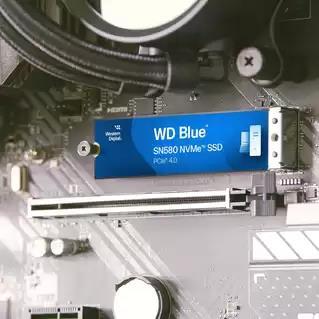 WDS100T3B1E 4