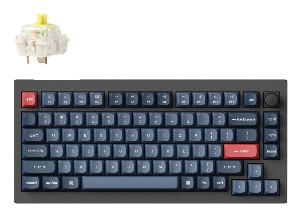 V1M-D4 1