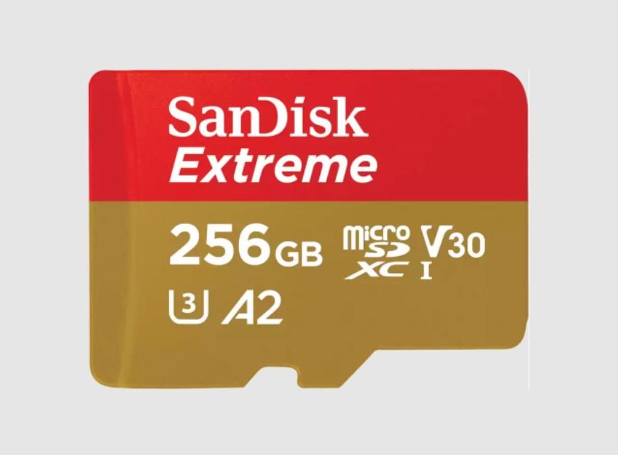 SDSQXAV-256G-GN6MA 1