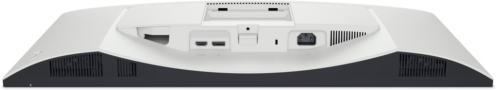 210-BQWM_4.jpg