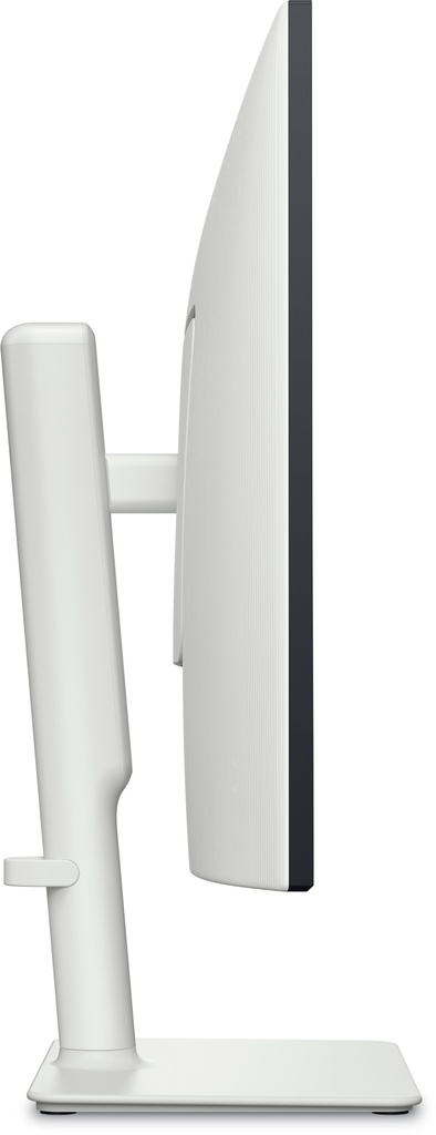 210-BQWM_5.jpg
