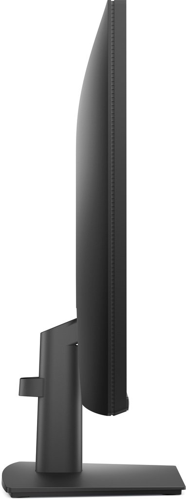 210-BRDQ_3.jpg