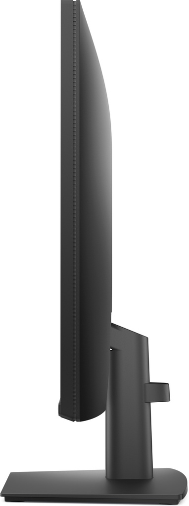 210-BRDQ_4.jpg