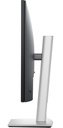 210-BRDS_6.jpg