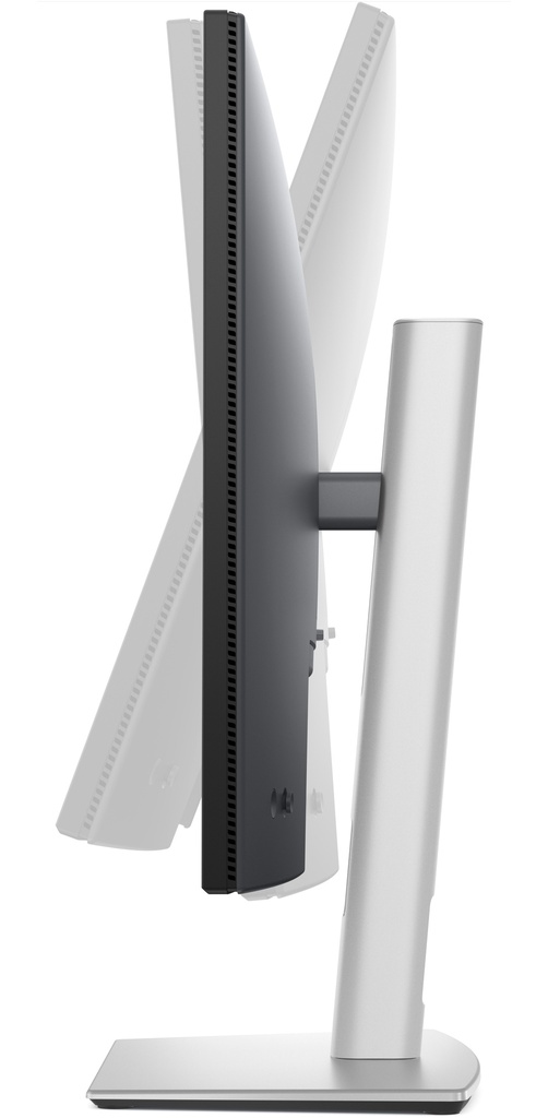 210-BRDS_7.jpg