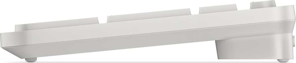 580-BDGZ_4.jpg
