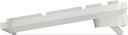 580-BDGZ_5.jpg