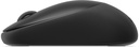 570-BBLF_3.jpg