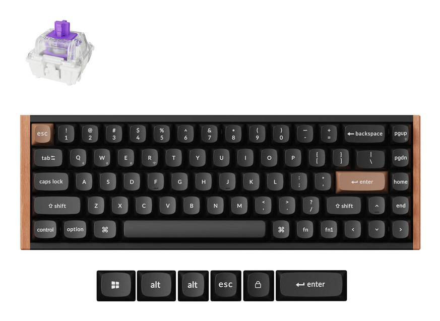K6H-F1_2.jpg