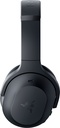 RZ04-03780100-R3M1_2.jpg