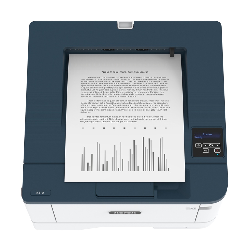 B310V_DNI_2.jpg