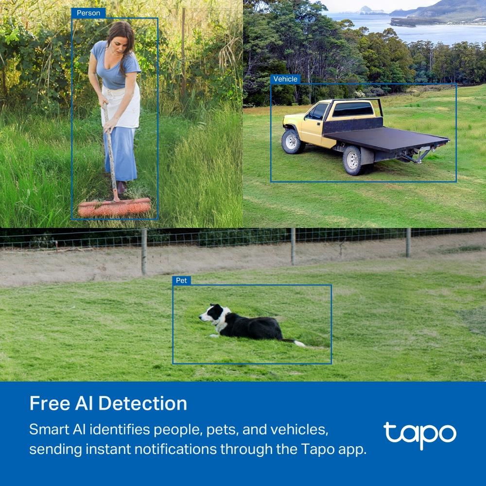 TAPO C501GW 7