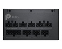 PRO A1000PL PCIE5 2